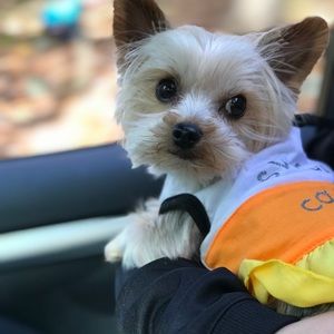 Meet your Posher, Chad